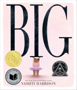 Book Cover Big Caldecott Winner
